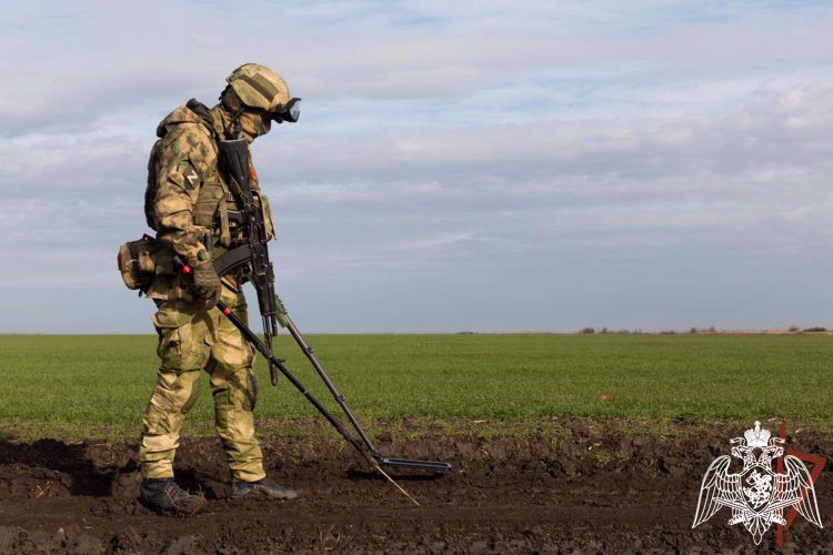 Росгвардия показала работу саперов в районе специальной военной операции (ВИДЕО)