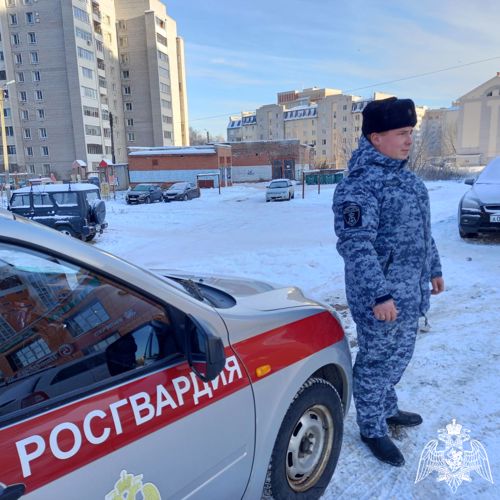 Росгвардейцы в одном из магазинов Зубцова задержали вора-сладкоежку