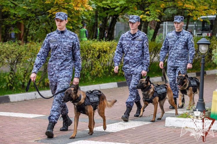 Командующий Центральным округом Росгвардии поздравил специалистов кинологической службы с профессиональным праздником