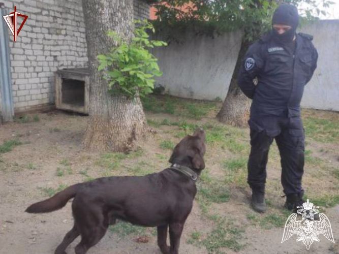 В Тверской области кинологи Росгвардии отмечают профессиональный праздник