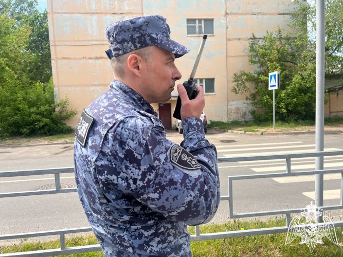 В Осташкове росгвардейцы по горячим следам задержали мужчину, подозреваемого в серии разбойных нападений   