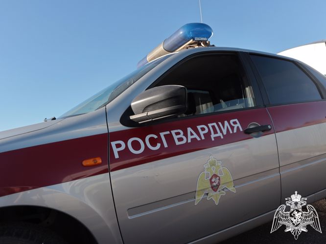 За минувшую неделю Росгвардией в Тверской области пресечено 36 административных правонарушений 