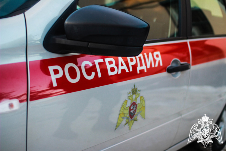 Более 300 выездов по сигналу «тревога» совершили тверские росгвардейцы за прошедшую неделю 	