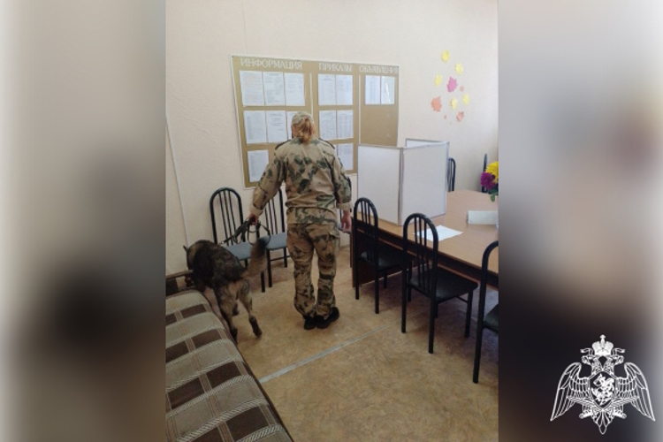 В день единого голосования Росгвардия обеспечила общественный порядок и общественную безопасность