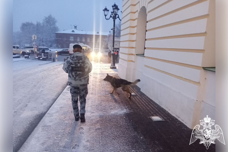 Росгвардейцы обеспечили безопасность в День народного единства в Твери
