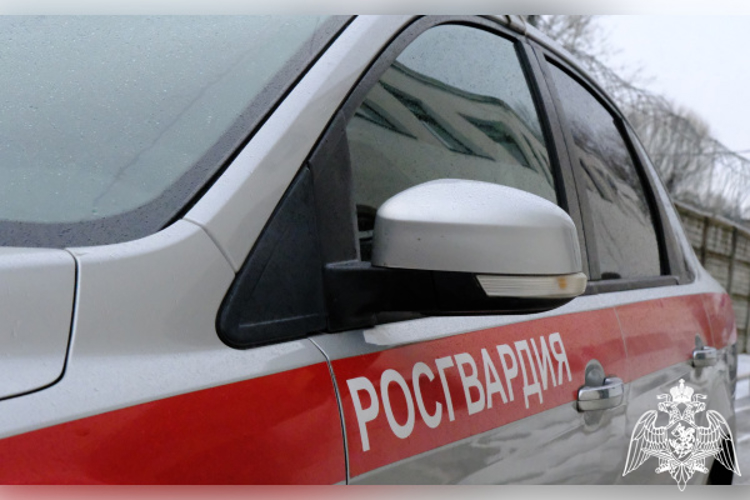 Сотрудники вневедомственной охраны Тверской области за неделю отработали свыше 280 сигналов «тревога»