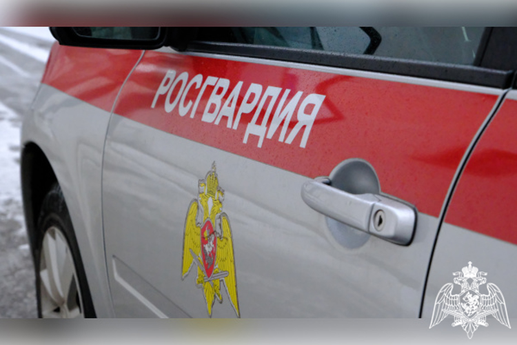 ЗА МИНУВШУЮ НЕДЕЛЮ ТВЕРСКИЕ РОСГВАРДЕЙЦЫ пресекли  28 административных правонарушений 