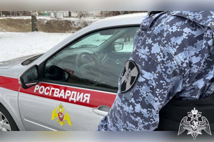 Тверские росгвардейцы за прошедшую неделю выезжали более 200 раз по сигналу «Тревога»