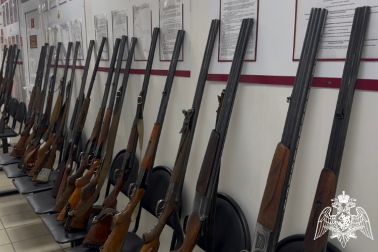 Росгвардейцы за неделю изъяли 11 единиц оружия в Тверской области