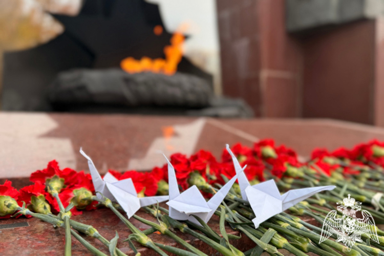 В Твери кадеты профильного класса Росгвардии прочитали стихи в День белых журавлей (ВИДЕО) 