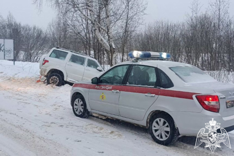 Сотрудники Росгвардии помогли вызволить автомобиль из снежного плена
