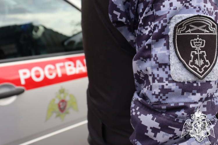 В ТВЕРИ ЗА МИНУВШУЮ НЕДЕЛЮ РОСГВАРДЕЙЦЫ ДЛЯ ОБЕСПЕЧЕНИЯ БЕЗОПАСНОСТИ ГРАЖДАН СОВЕРШИЛИ БОЛЕЕ 350 ВЫЕЗДОВ