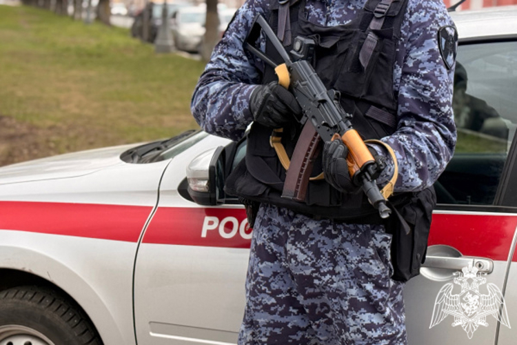 ЗА ПРОШЕДШУЮ НЕДЕЛЮ РОСГВАРДЕЙЦЫ ДЛЯ ОБЕСПЕЧЕНИЯ БЕЗОПАСНОСТИ ГРАЖДАН СОВЕРШИЛИ БОЛЕЕ 260 ВЫЕЗДОВ