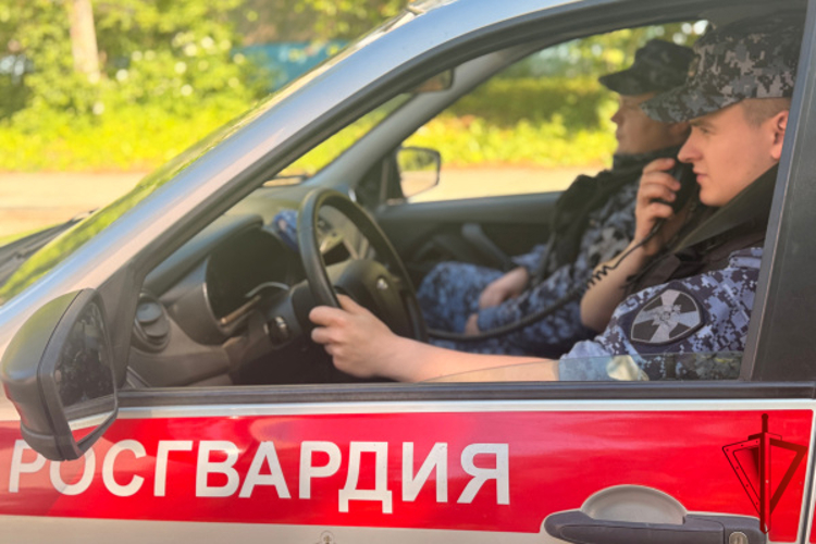 Сотрудники вневедомственной охраны совершили 250 выездов и пресекли 20 правонарушений за неделю в Тверской области