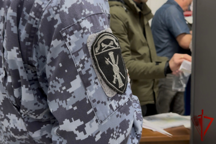 За прошедшую неделю сотрудники Росгвардии выдали более 300 лицензий и разрешений в Тверской области