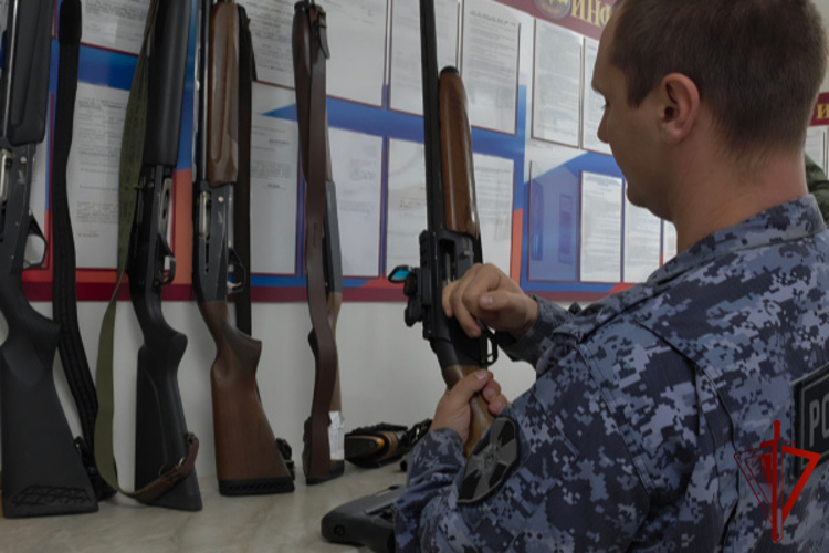 РОСГВАРДЕЙЦЫ ИЗЪЯЛИ БОЛЕЕ 30 ЕДИНИЦ ОРУЖИЯ В ТВЕРСКОЙ ОБЛАСТИ